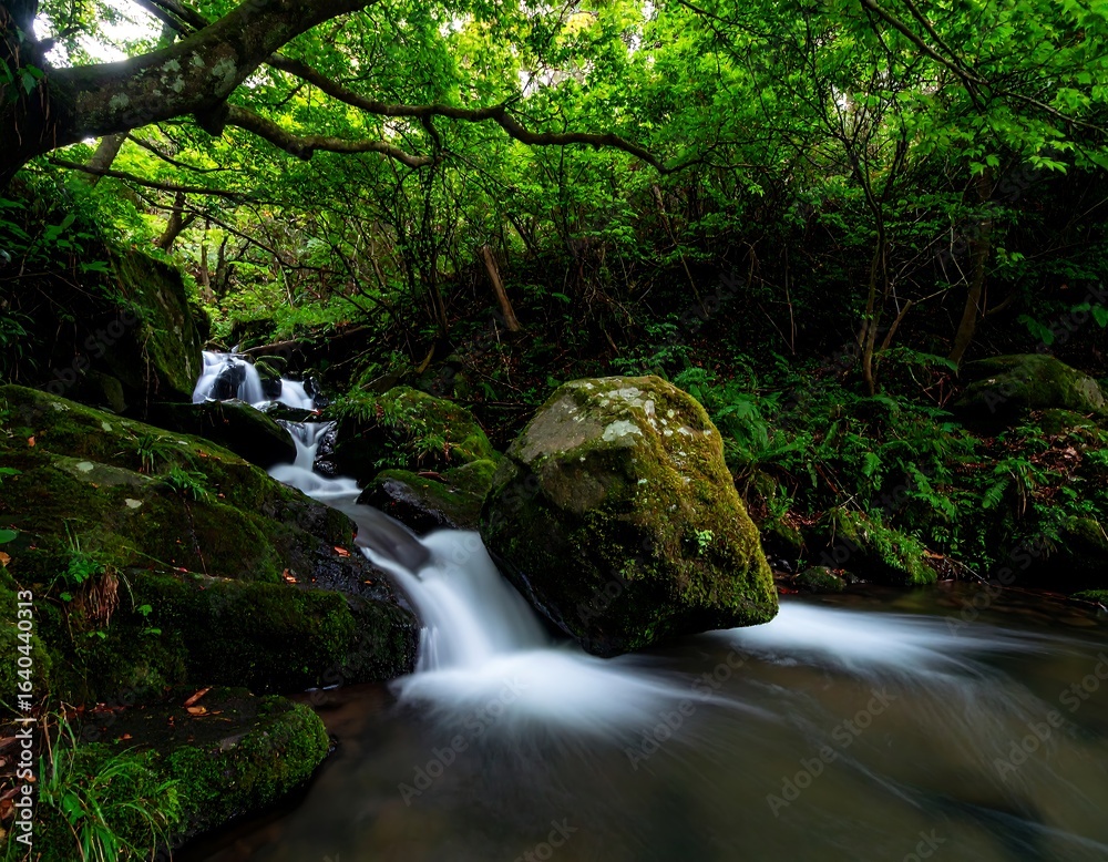 Obraz premium Peaceful stream and lush greenery in a woodland paradise for tranquility