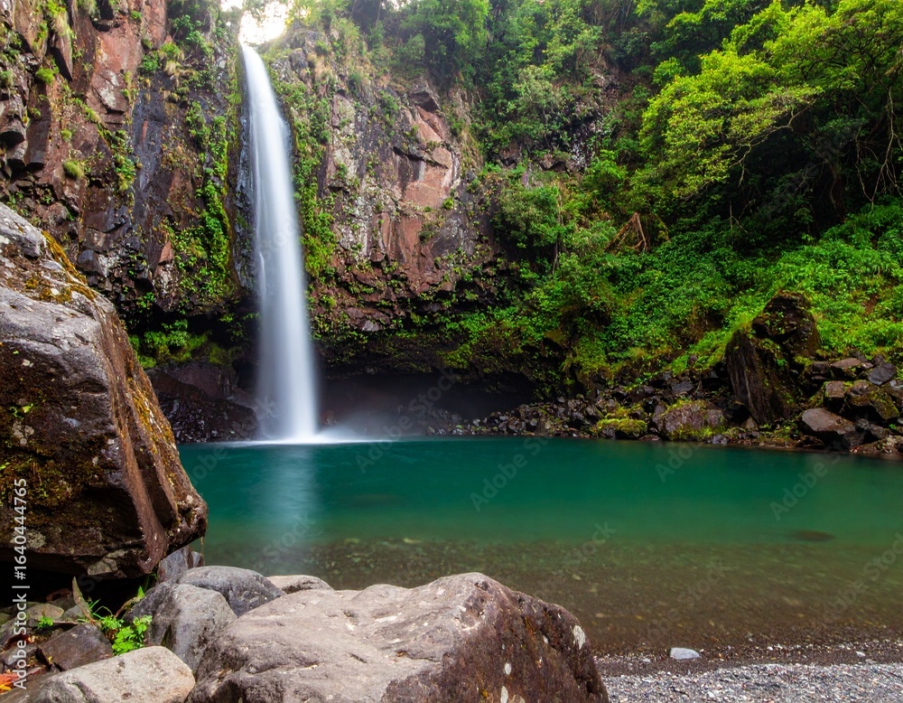 Obraz premium waterfall in the forest 