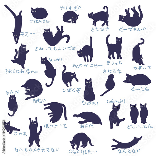 A collection of unique and interesting cat images,