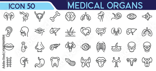 Medical anatomy icons display linear art of several key human organs throughout the design