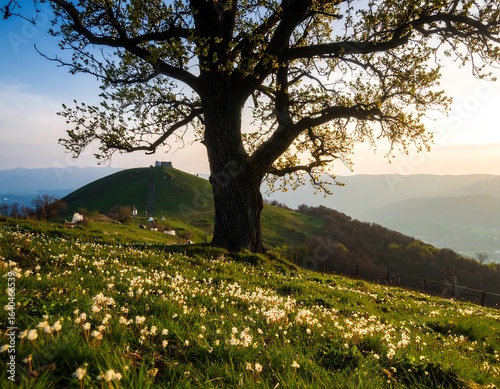 Wallpaper Mural Scenic Landscape Featuring Hilltop Architecture, Springtime Flowers, and Mature Tree Torontodigital.ca