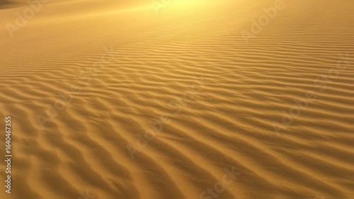 Golden Hour on the Dunes: Ripples in the Sand