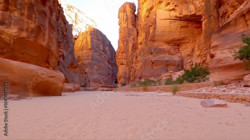 Wadi Al Disah: Sandstone Giants and Secret Oasis
