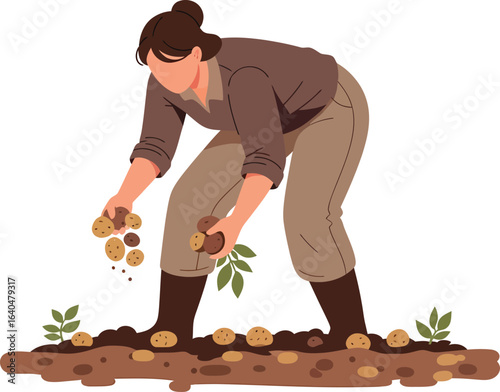Farmer harvesting potatoes from the soil.