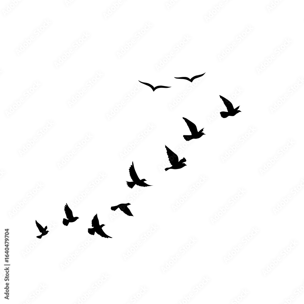 Fototapeta premium Flying Bird Silhouette Vector Set for Tattoos and Nature Art