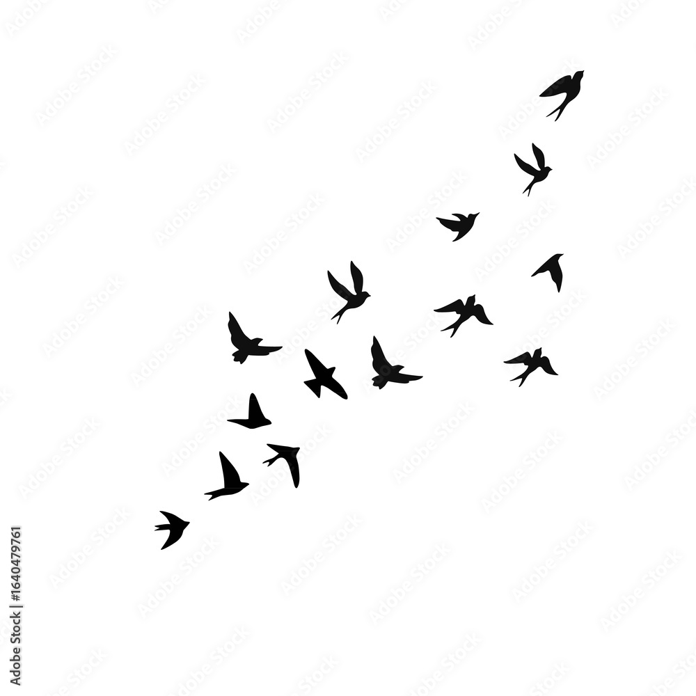 Flying Bird Silhouette Vector Set for Tattoos and Nature Art Flying Bird Silhouette Vector Set for Tattoos and Nature Art