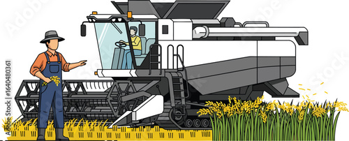 Farmer with Combine Harvester in a Rice Field.