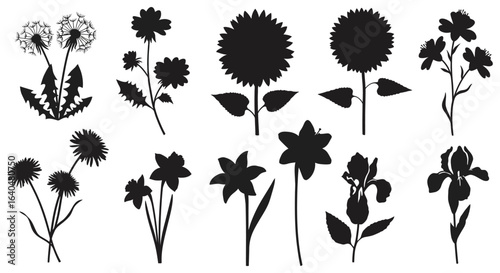 Assorted Flower Silhouettes Dandelions Daisies Daffodils Irises and Sunflowers Collection silhouette