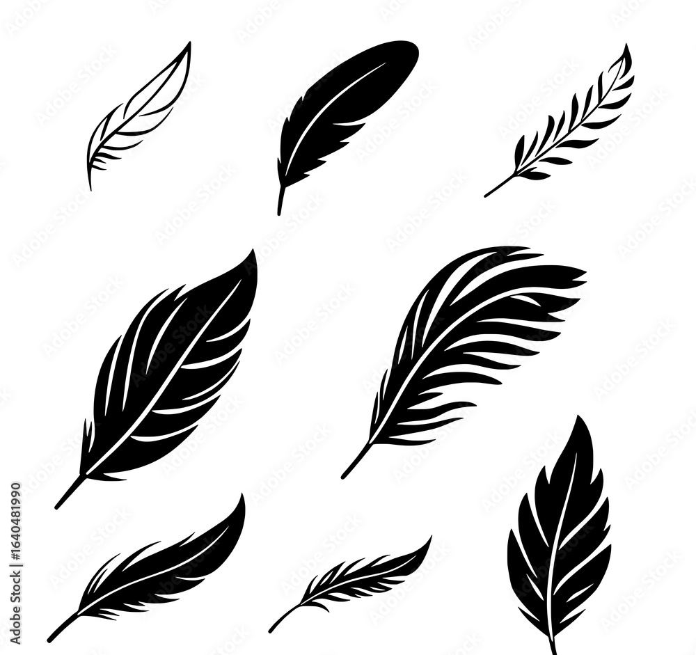 Obraz premium set of feathers vector