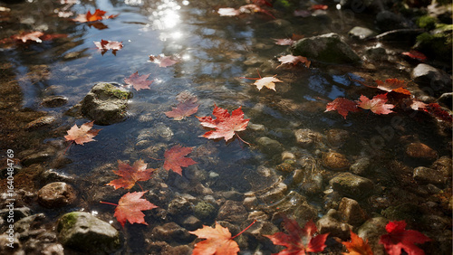 The red leaves falling into the lake