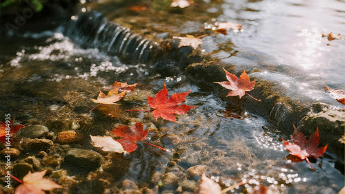 The red leaves falling into the lake