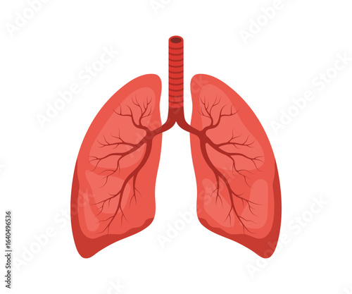 Human lung icon. Internal organ. Pulmonology and anatomy concept. Medical Vector illustration in flat cartoon style.