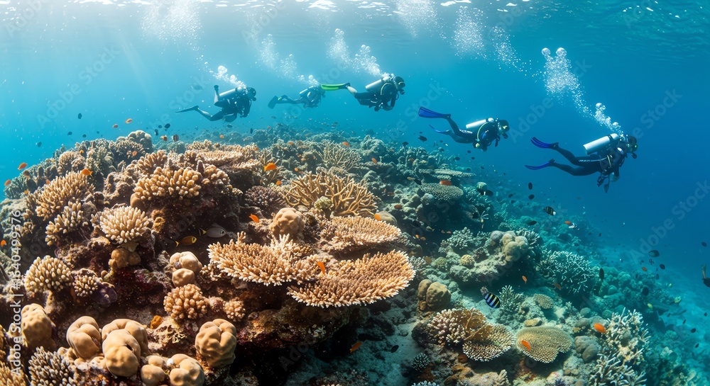 Fototapeta premium Underwater Scuba Divers Exploring Vibrant Coral Reef in Clear Blue Ocean
