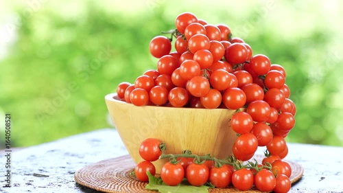 Sweet Japanese Bijin and Amela tomatoes in a basket, with a natural green bokeh background