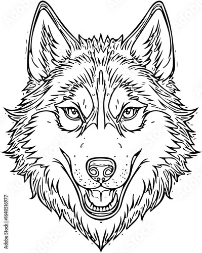wolf head vector illustration