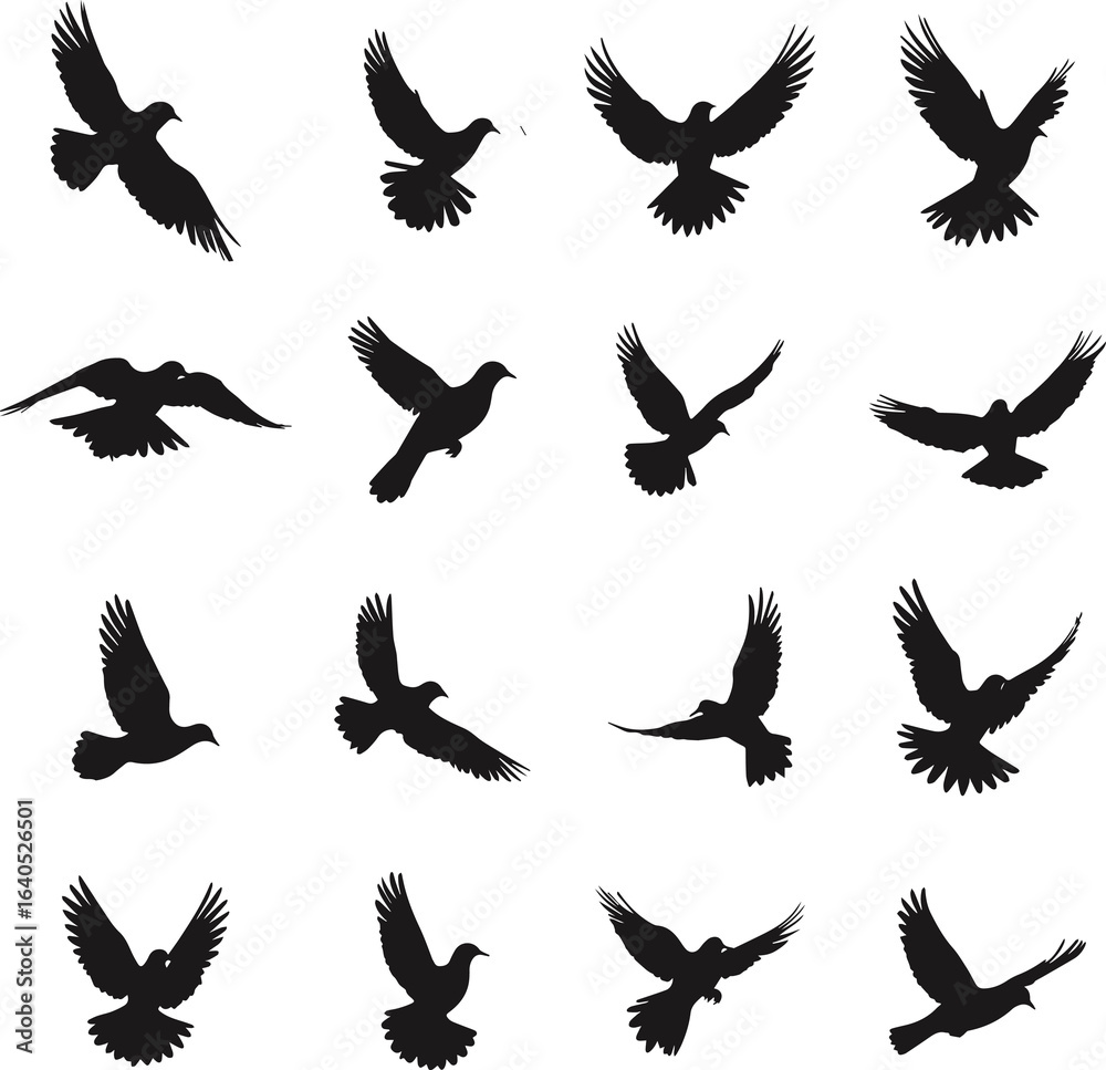 Obraz premium set of Dove flight Silhouette vector