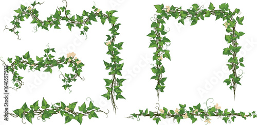 Elegant green climbing jasmine vine frame with delicate light peach flowers, botanical floral border design, natural garden vector art