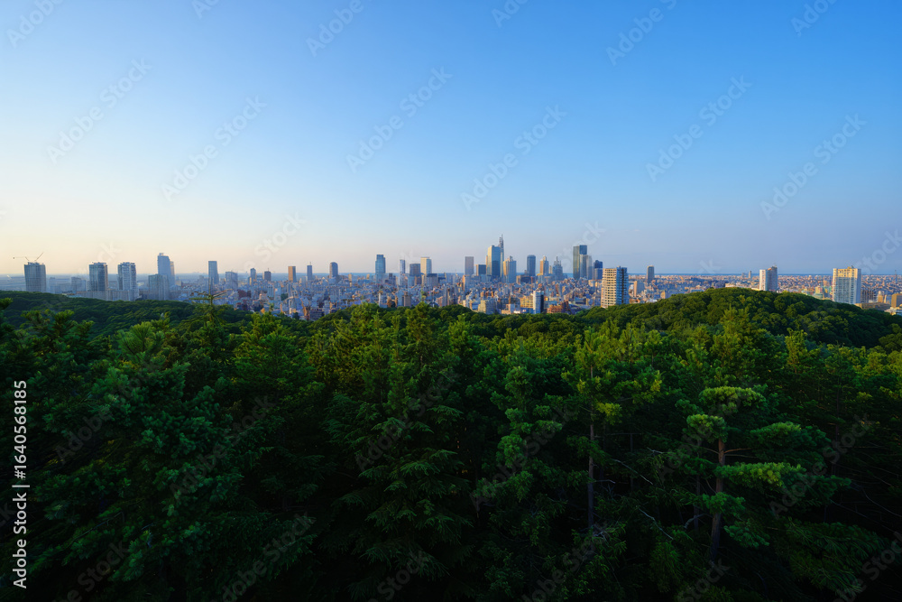 Obraz premium sunset in the city