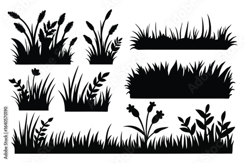  Bundle grass silhouettes set Vector illustration on white background