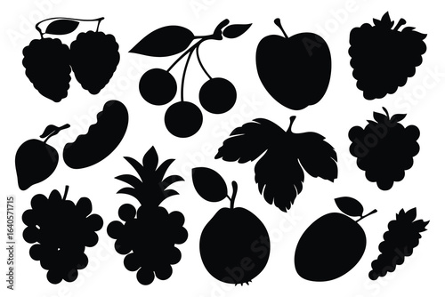 Grape berry healthy food silhouettes set isolated flat vector illustration on white background.