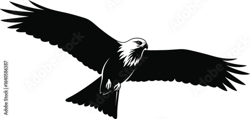 A majestic eagle soars through the sky, its powerful wings spread wide, a symbol of freedom and strength, a captivating vector illustration of wildlife