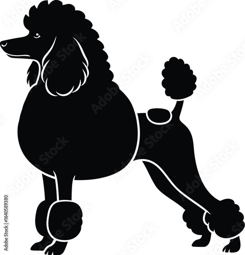 Elegant black poodle silhouette standing gracefully, showcasing its distinctive grooming and pedigree in a simple yet striking vector illustration