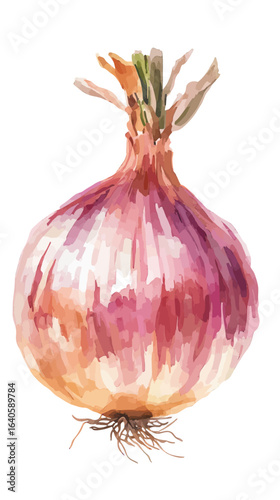 watercolor painting of purple red onion bulb with roots and dried green stalks isolated on white background fresh vegetable artwork digital illustration flat style food concept