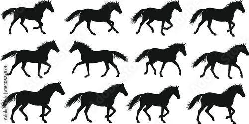 Twelve detailed silhouettes of a powerful running horse, showcasing different gaits and dynamic motion, perfect for equine and animal-themed projects.