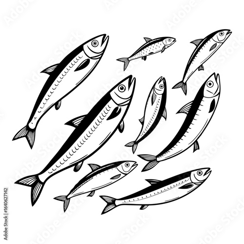 Hand-Drawn Illustration of Anchovies, Sardine Fish in Various Poses