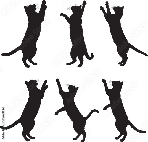 Six playful cats reaching up in silhouette