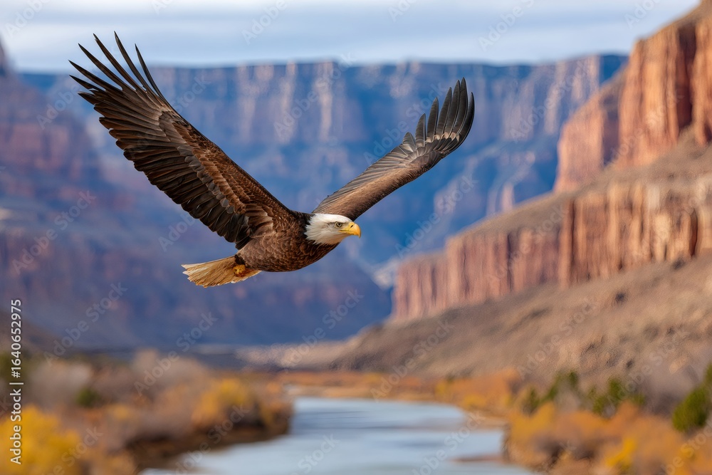 Naklejka premium Bald eagle soaring over canyon river landscape in autumn