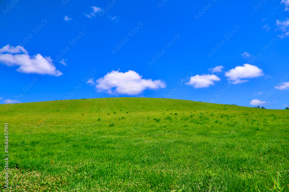 Obraz premium 草原と大空（北海道・美瑛町）