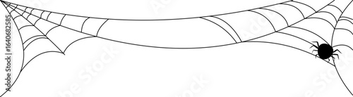 Halloween Spider Web