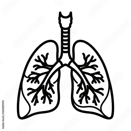 Anatomical illustration of human lungs, trachea, and bronchi, depicted in a simplified, outlined style.