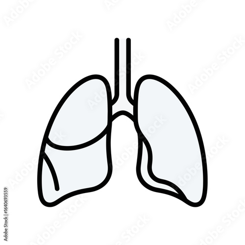 Simple illustration of human lungs, showing anatomical structure, outline, and details.