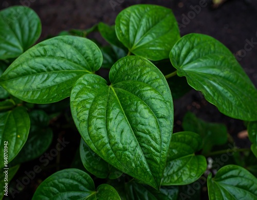 Close-up of vibrant green leaves (7)