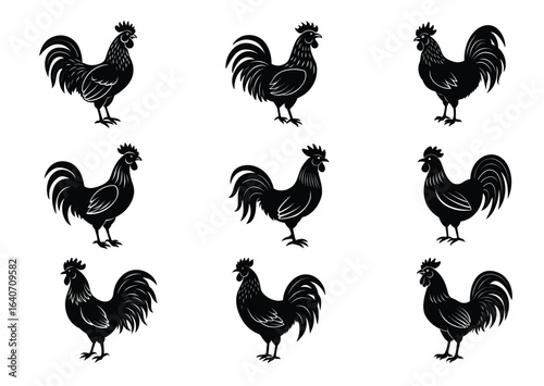 Rooster cock silhouette vector Set