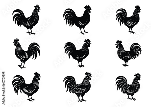 Rooster cock silhouette vector Set