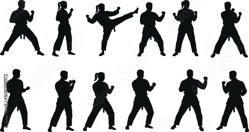Vector silhouettes of male and female martial artists in various karate and taekwondo stances, demonstrating fighting techniques and self-defense moves, black on white.