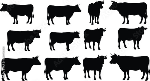 Vector silhouettes of various cows and cattle, perfect for farming, agriculture, and livestock-themed designs and illustrations, set on a white background.