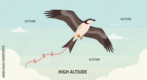 A soaring bird navigating the high altitude sky with grace and precision depiction