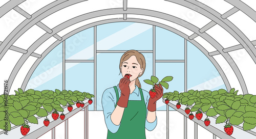 A woman harvests fresh strawberries in a greenhouse enjoying the delicious fruit and farm environment
