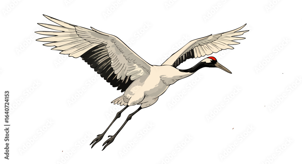 Fototapeta premium Elegant Japanese Crane in Flight, Transparent Background, Vector Illustration