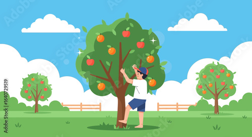 Boy Plucking Ripe Fruits From Tree In Orchard On Beautiful Sunny Day