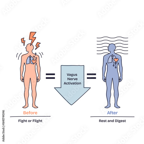 Breathing techniques show how vagus nerve activation shifts the body from fight or flight to rest and digest, key objects, human figures, arrows, heart. Doodle style diagram