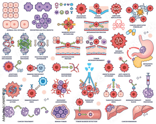 Cancer biology explores tumor growth, metastasis, and genetic mutations, key objects, DNA, cancer cells, organs. Outline style worksheet collection