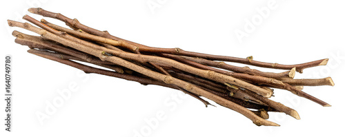 A bundle of slender, light brown twigs