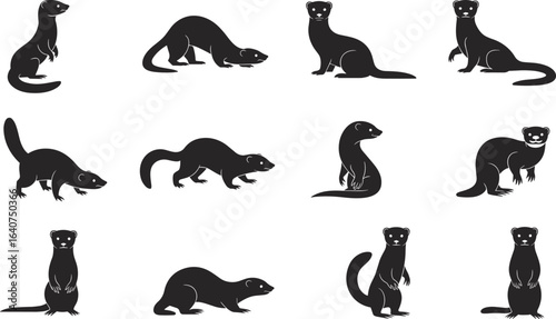 Otter ferret silhouettes, animal poses, walking otter, crouching ferret, sitting animal, elongated body, wildlife shapes, black silhouettes, nature reference, animal movement, tail shapes.