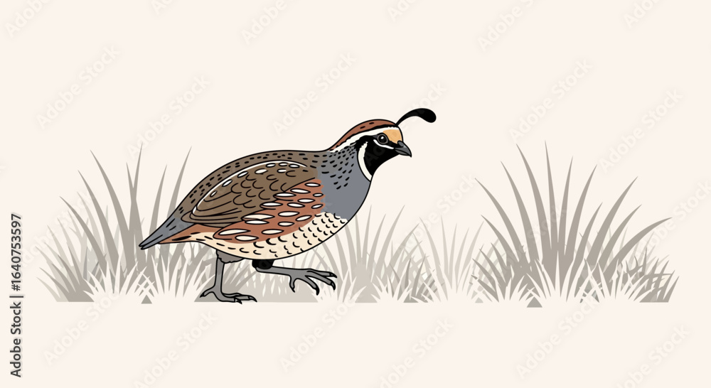 Fototapeta premium Detailed Illustration of a Quail Walking Through Tall Grass in a Natural Setting