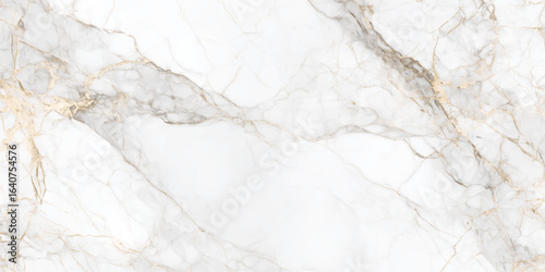 white gray marble texture background with detail structure high resolution, Gold marble texture background. Used in design for skin tile vector design marble background